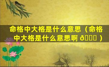 命格中大格是什么意思（命格中大格是什么意思啊 🐟 ）